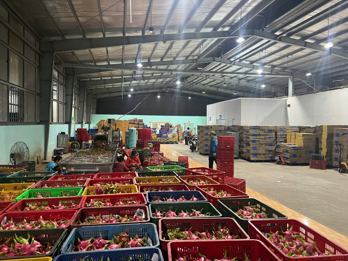 Hợp tác xã Mỹ Tịnh An vay vốn phục vụ hoạt động kinh doanh